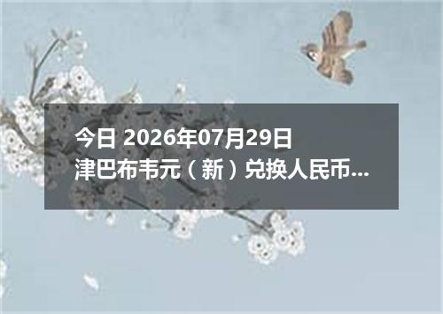 今日 2026年07月29日 津巴布韦元（新）兑换人民币最新汇率行情