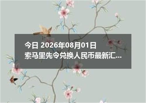 今日 2026年08月01日 索马里先令兑换人民币最新汇率行情