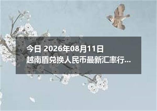 今日 2026年08月11日 越南盾兑换人民币最新汇率行情