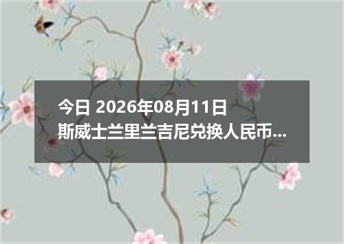 今日 2026年08月11日 斯威士兰里兰吉尼兑换人民币最新汇率行情