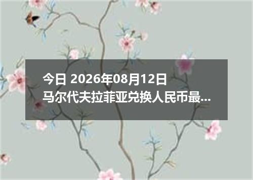 今日 2026年08月12日 马尔代夫拉菲亚兑换人民币最新汇率行情