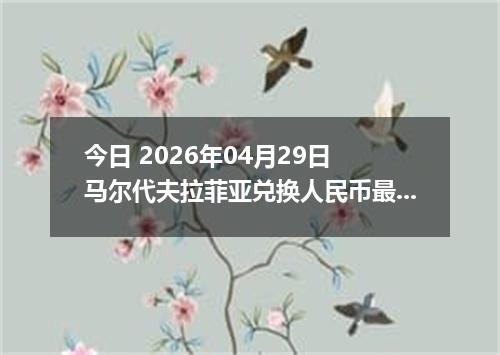 今日 2026年04月29日 马尔代夫拉菲亚兑换人民币最新汇率行情
