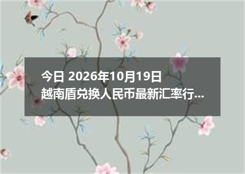 今日 2026年10月19日 越南盾兑换人民币最新汇率行情