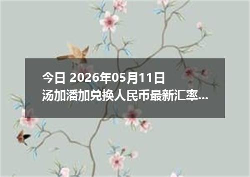今日 2026年05月11日 汤加潘加兑换人民币最新汇率行情