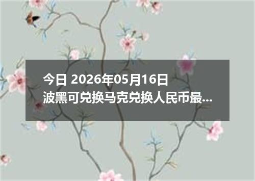 今日 2026年05月16日 波黑可兑换马克兑换人民币最新汇率行情