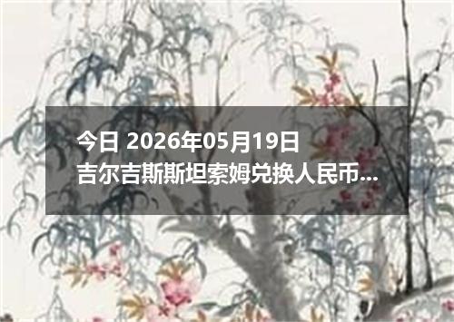 今日 2026年05月19日 吉尔吉斯斯坦索姆兑换人民币最新汇率行情