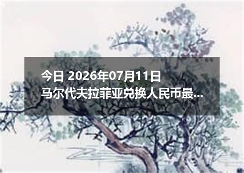 今日 2026年07月11日 马尔代夫拉菲亚兑换人民币最新汇率行情