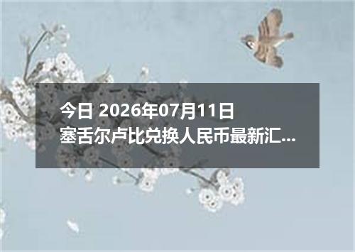 今日 2026年07月11日 塞舌尔卢比兑换人民币最新汇率行情